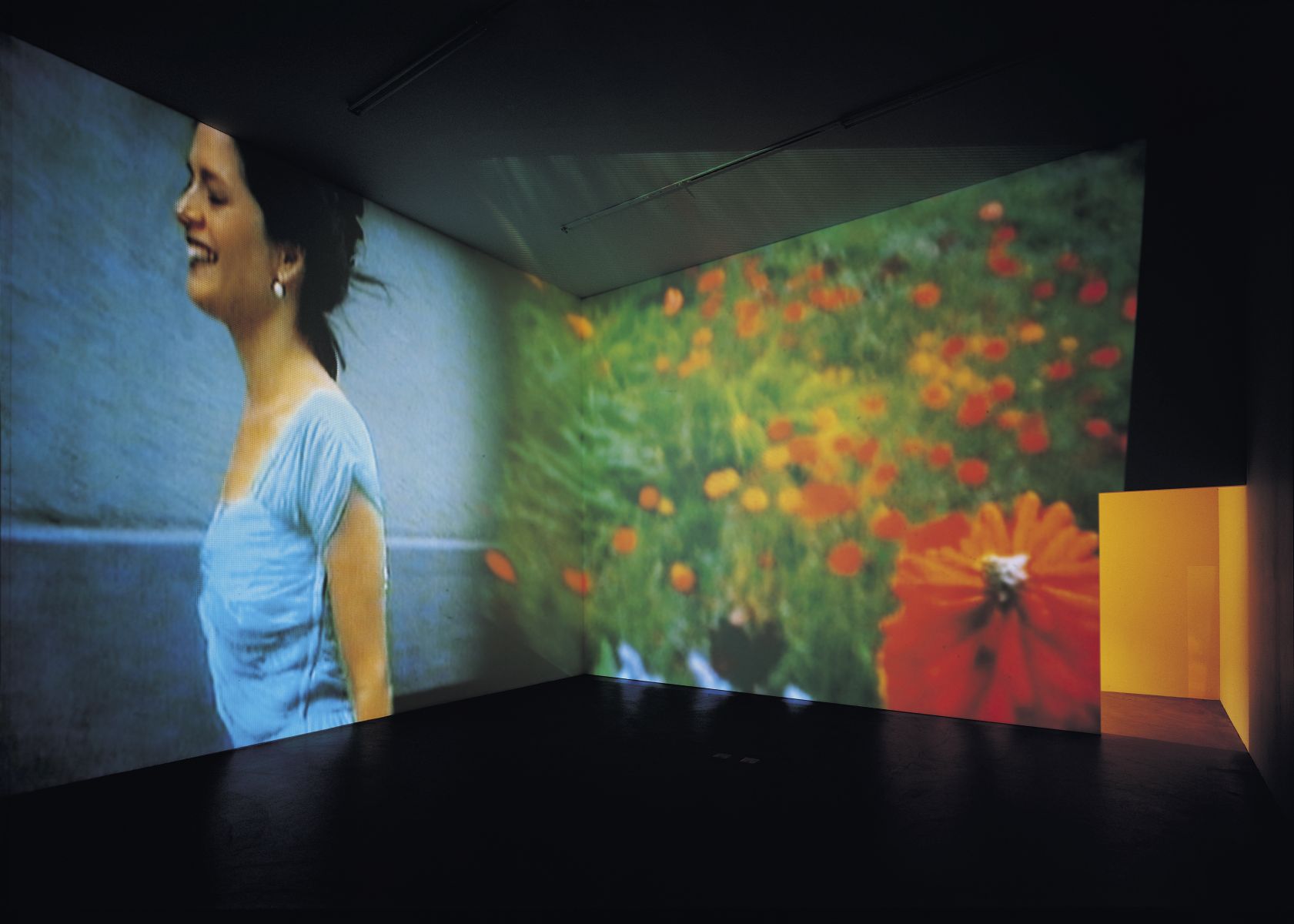 ピピロッティ・リスト：Your Eye Is My Island －あなたの眼はわたしの